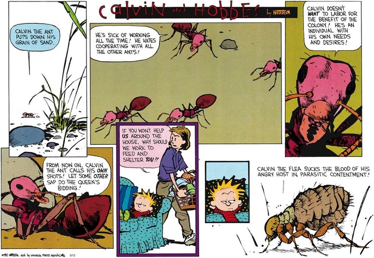 Calvin and Hobbes - “Let some other sap do the Queen’s bidding”.