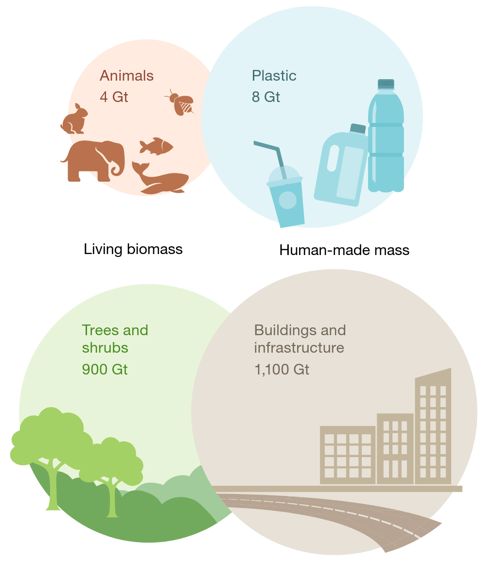 Global human-made mass exceeds all living biomass.